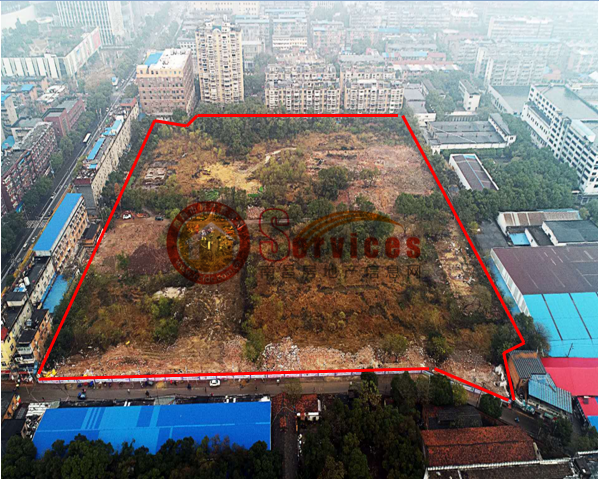 现场图.png