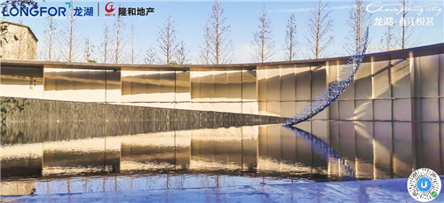 龙湖110205.jpg